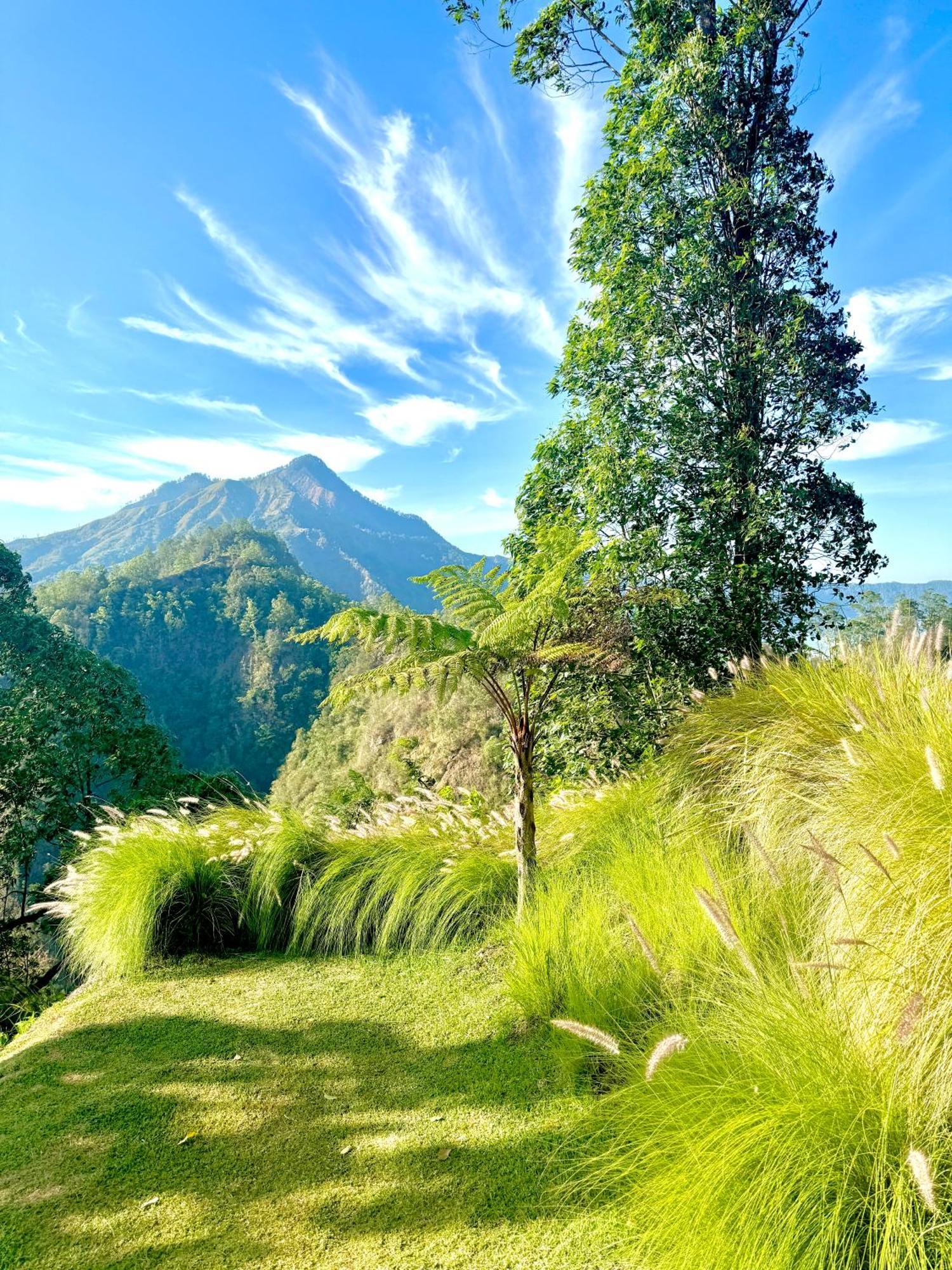 Alengkong Bali Camp Bangli Exterior foto